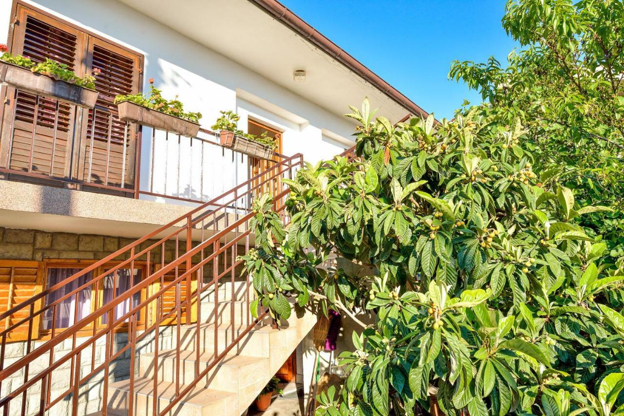 Apartman Jadranka Bibinje Exterior foto